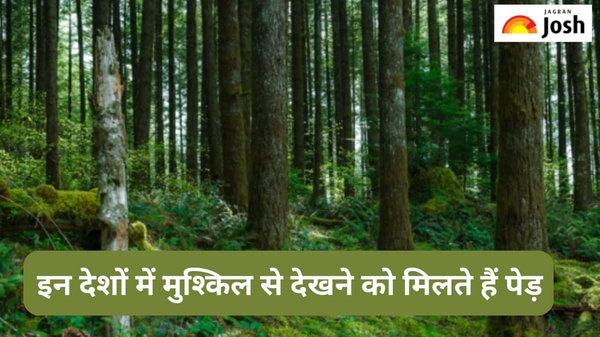 दुनिया के इन देशों में मुश्किल से देखने को मिलता है वन क्षेत्र, देखें लिस्ट