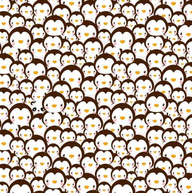 spot hidden animals picture puzzles