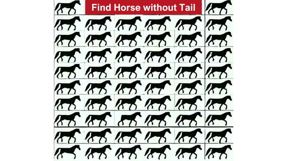 Find Horse Without Tail in 5 Seconds