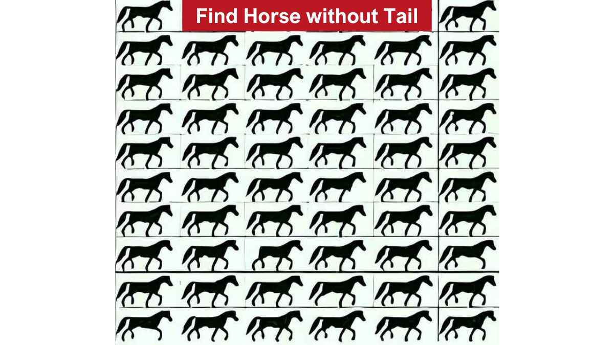 Optical Illusion to Test Your Vision: Find the horse without tail in 5 ...