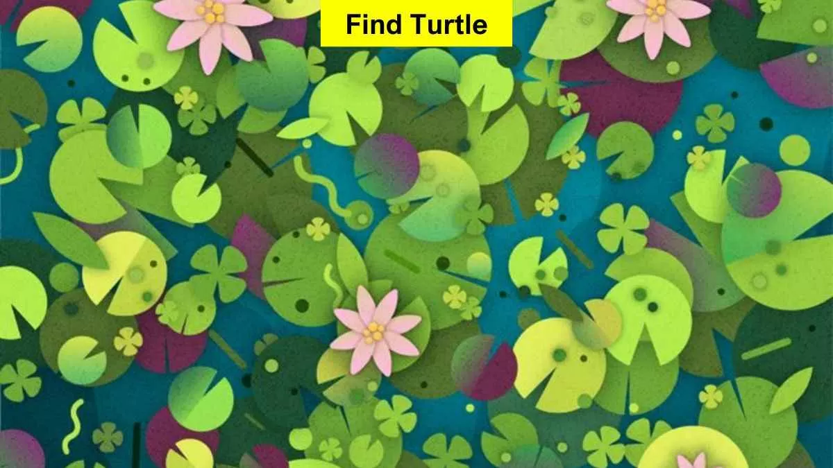 Find hidden turtle in the picture in 6 seconds