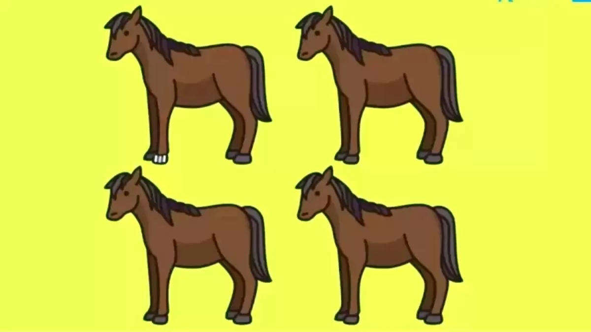 Can you spot which horse is different in 15 seconds?