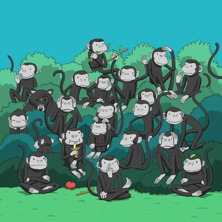 Optical Illusion Visual Challenge: Find a bear among monkeys in 4 seconds!
