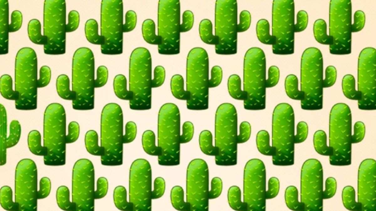 Brain Teaser for Testing Your IQ: Can you spot the ODD Cactus in picture within 9 secs?