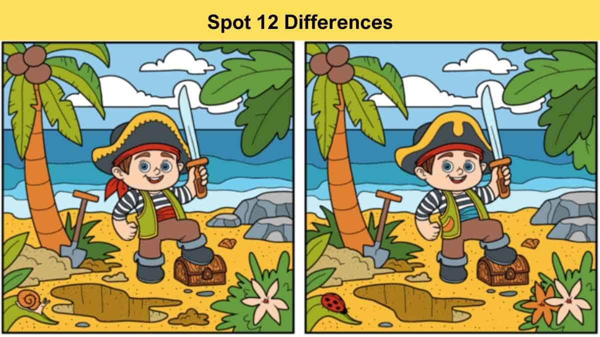 Spot 12 Differences in 29 Seconds