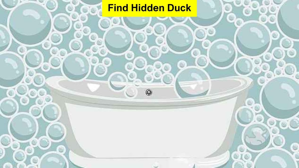 Find Hidden Duck in 5 Seconds
