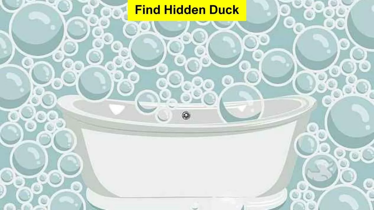 Find Hidden Duck in 5 Seconds