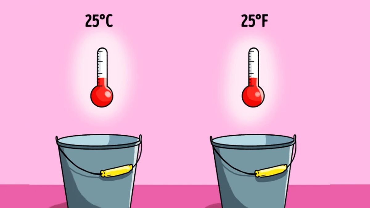 Puzzle for Testing Your IQ: Which Coin Will Get To the Bottom of Bucket First in Picture within 3 secs?