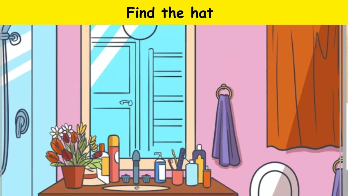 Can you find the hat?