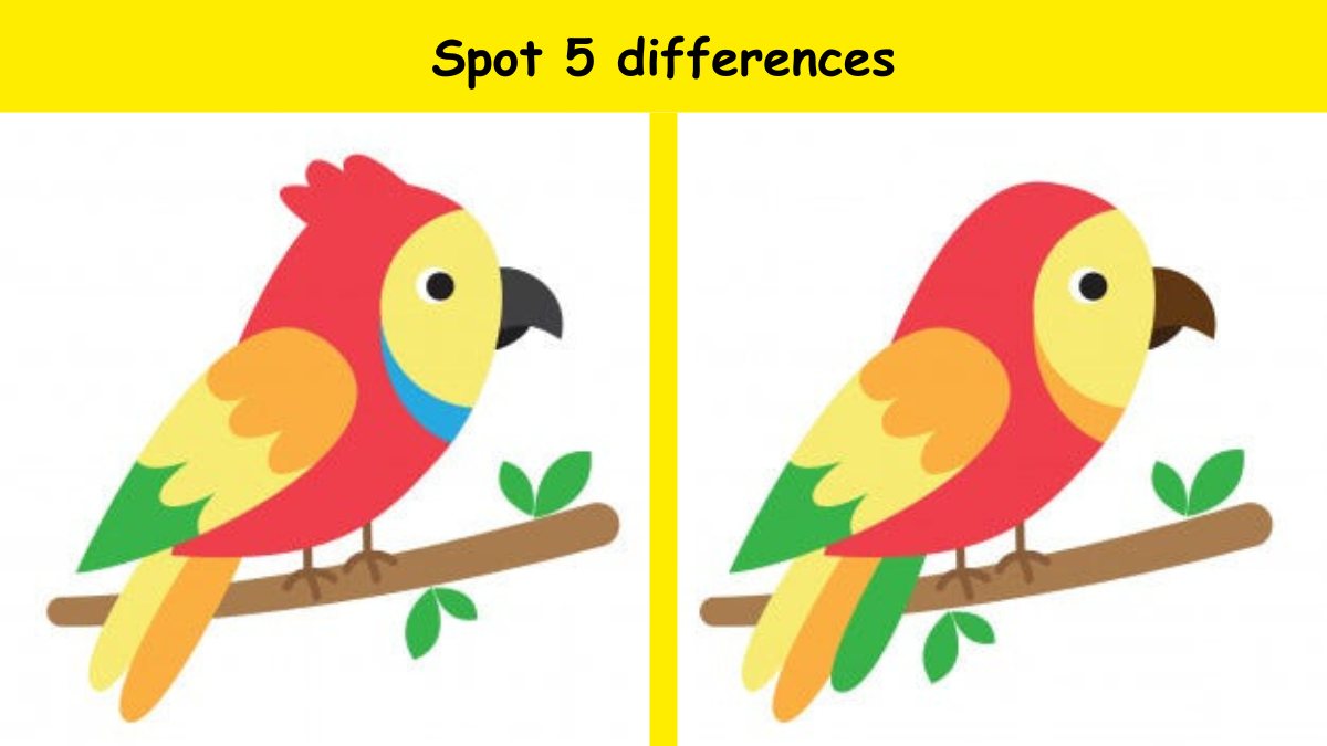 Can you spot 5 differences?