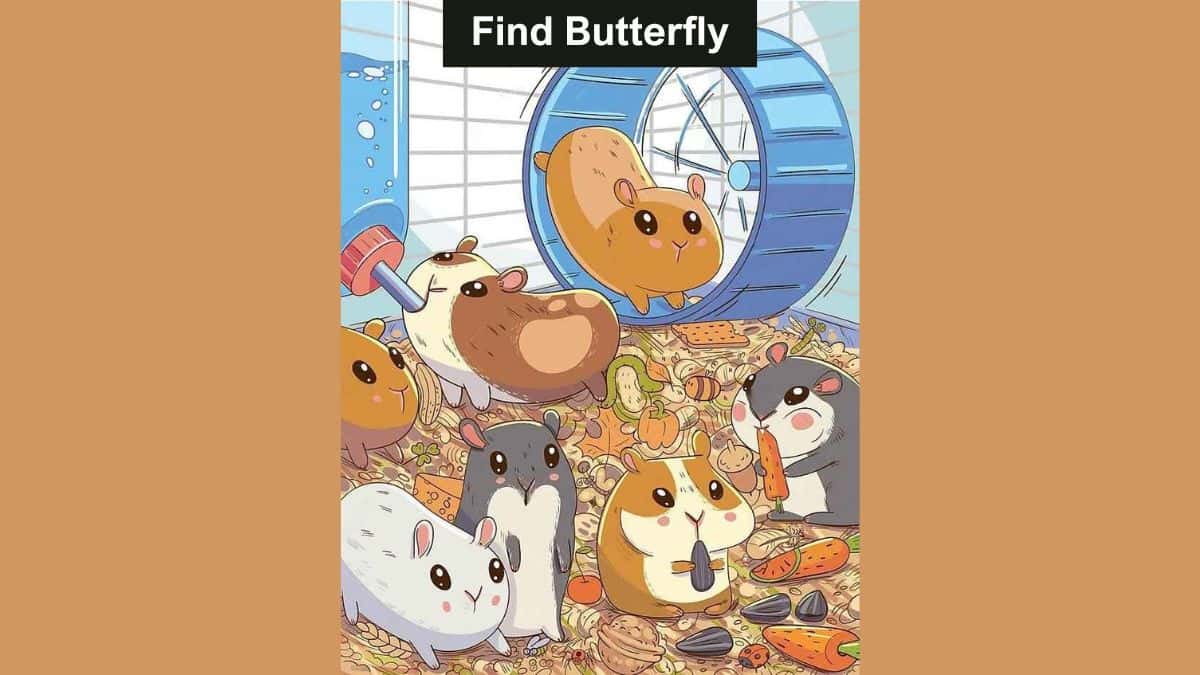 Seek and Find Puzzle: Find the hidden butterfly among guinea pigs in 8 seconds!