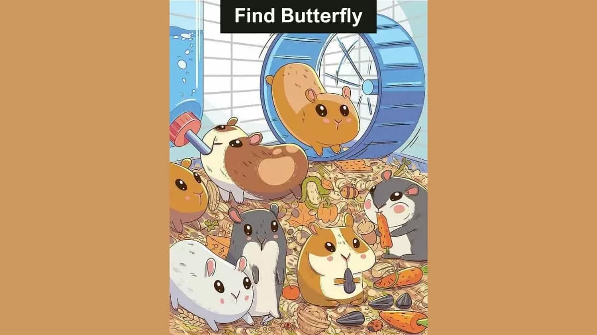 Find Hidden Butterfly in 8 Seconds