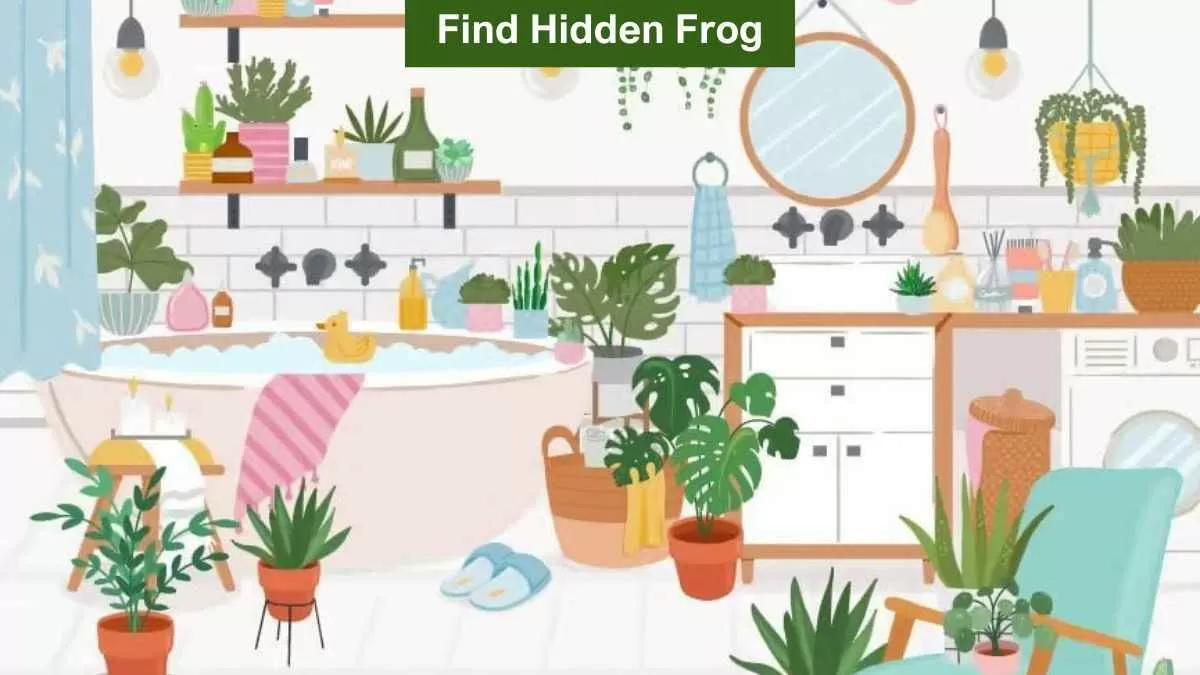 Find Hidden Frog in the Bathroom in 9 Seconds