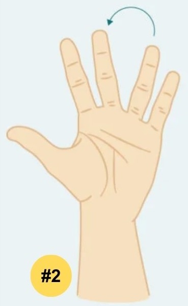 gap between middle and ring fingers palmistry personality