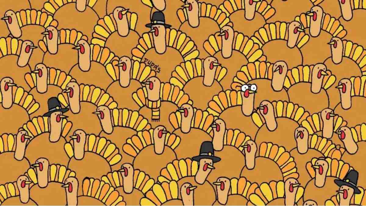 You Are A Keen Observer If You Can Spot A Pumpkin Among Turkeys In 7 Seconds!