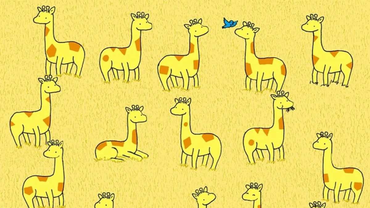 Brain Teaser for Testing Your IQ: Can You Spot the Giraffe With No Pair in Picture within 13 secs?