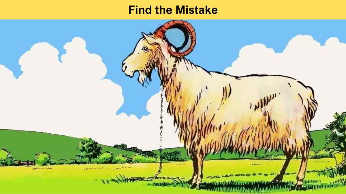 Brain Teaser for Geniuses: Find the mistake in the picture in 5 seconds!