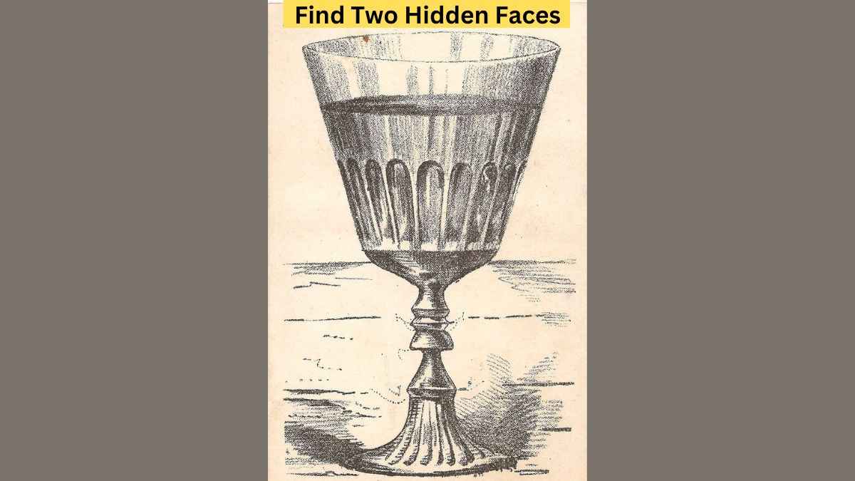 Optical Illusion to Test Your Vision: Find two hidden faces in 6 seconds!