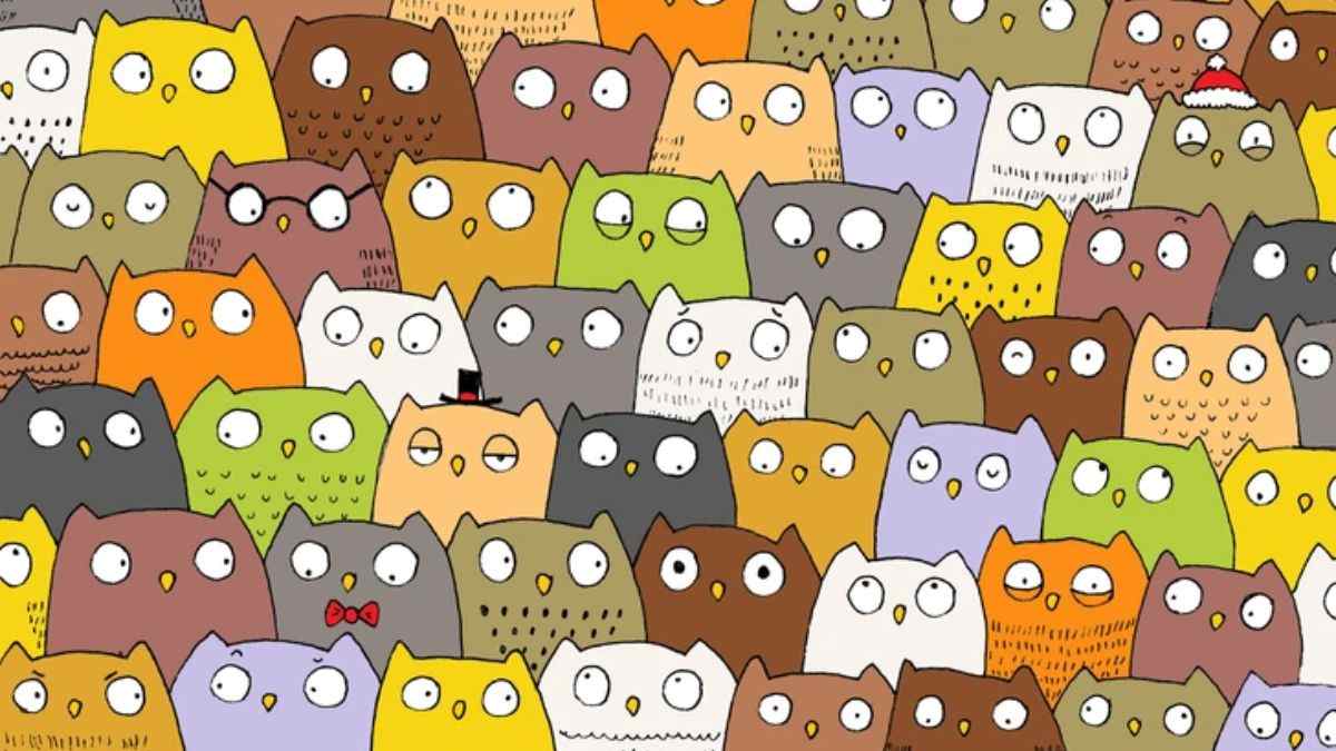 Optical Illusion for Testing Your IQ: Can You Spot the Cat Hidden Among Owls in Picture within 15 Secs?