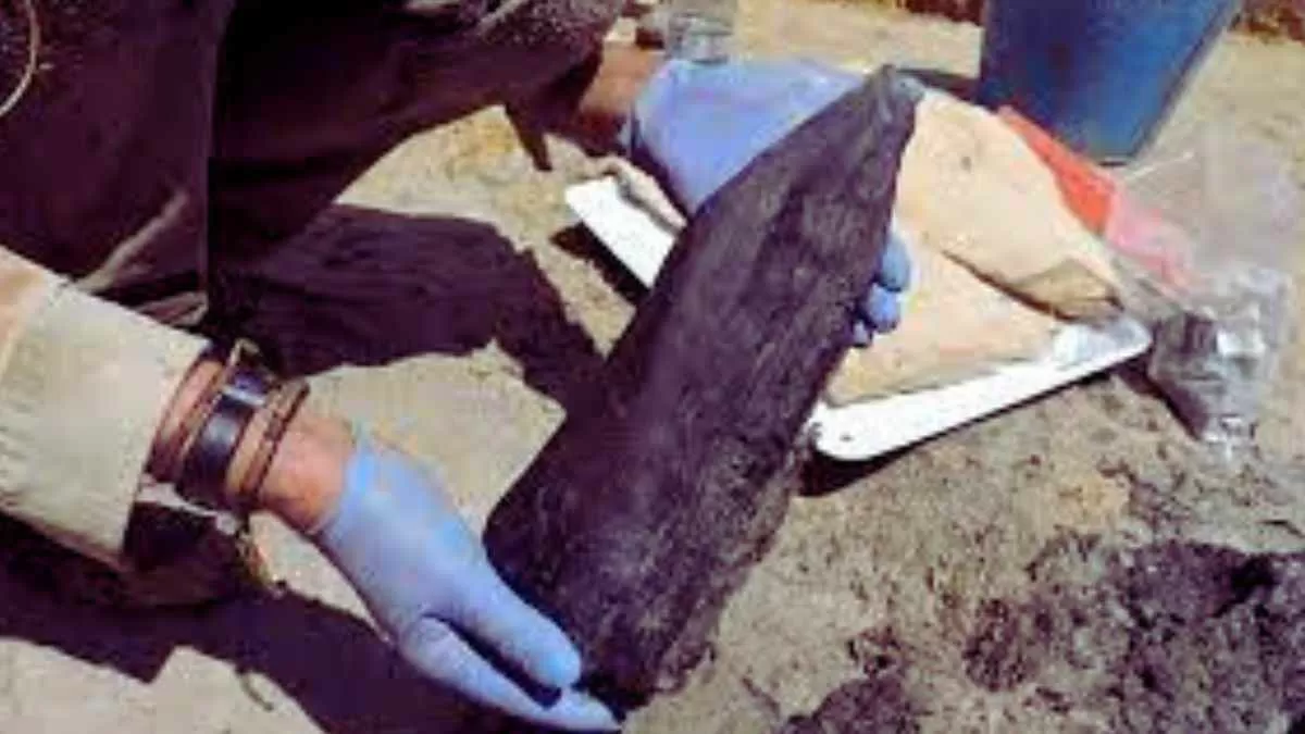 The Oldest Wood Structure of the World Found in Zambia