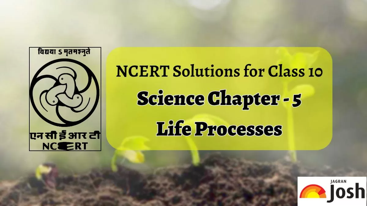  NCERT Solutions for Class 10 Science Chapter 5 Life Processes