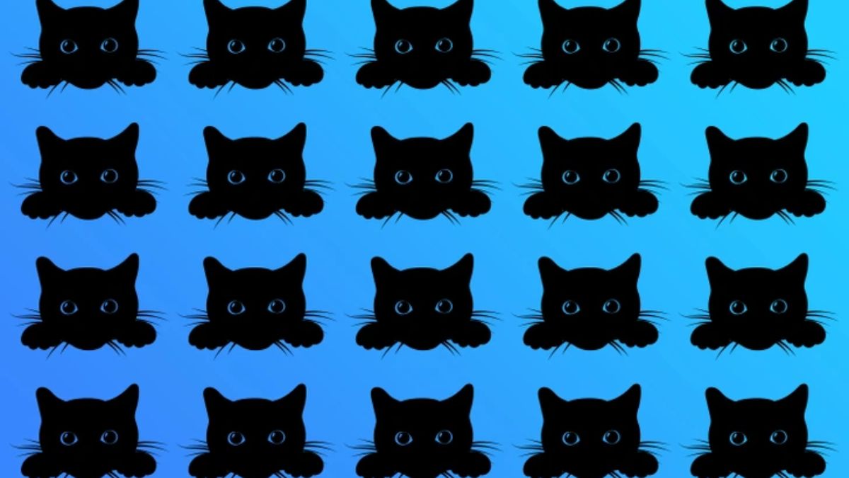 Brain Teaser for Testing Your IQ: Can You Spot the ODD Black Cat Hidden in Picture within 15 secs?