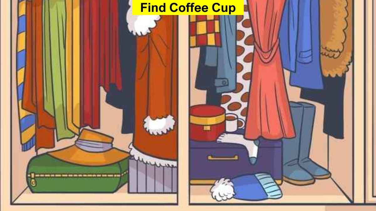 Optical Illusion Visual Skill Test: Find the coffee cup in the wardrobe in 5 seconds!