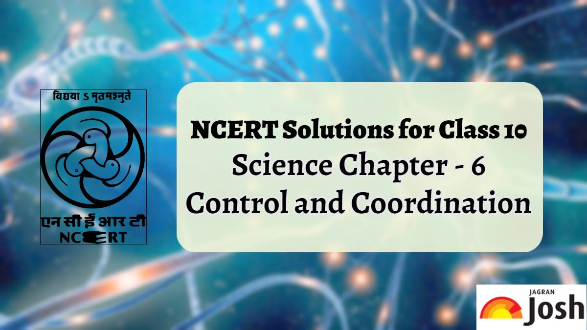  NCERT Solutions for Class 10 Science Chapter 6 Control and Coordination