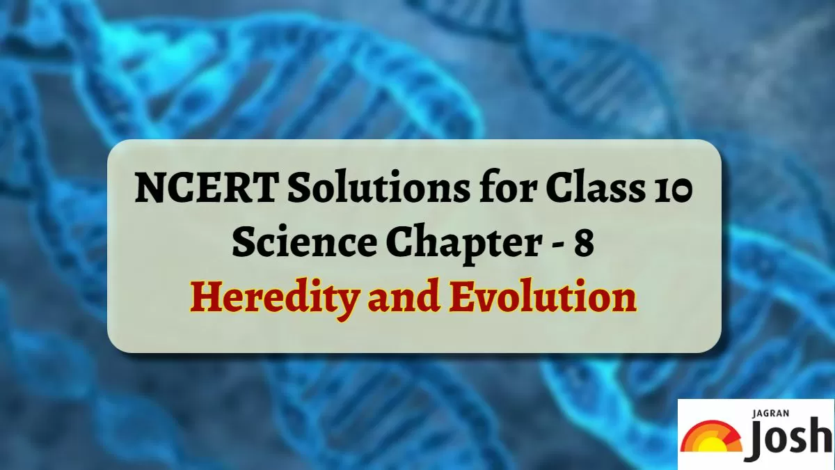 NCERT Solutions for Class 10 Science Heredity and Evolution