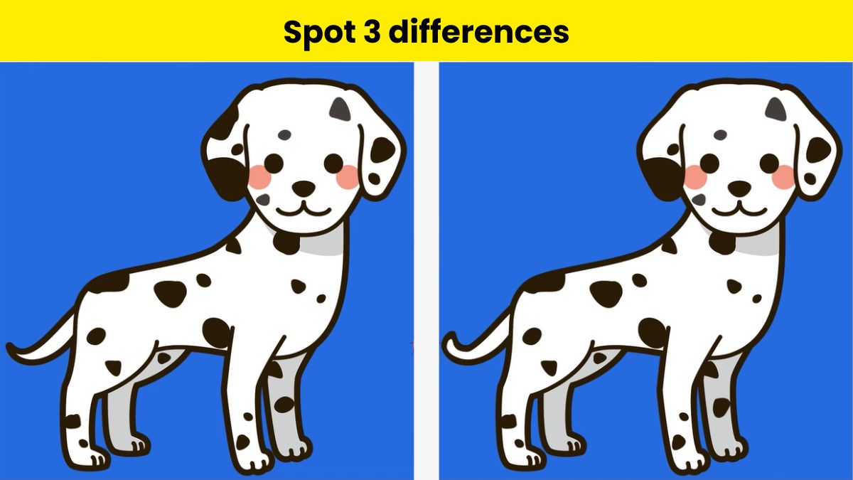 You have high-definition eyes if you can spot 3 differences between the Dalmatian puppy images in 10 seconds. 
