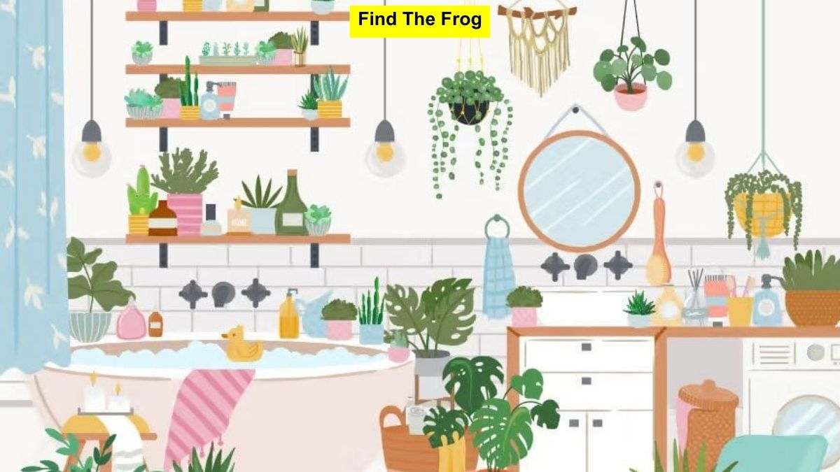You Have Sharp Eyesight If You Can Spot The Frog In The Bathroom Within 8 Seconds!