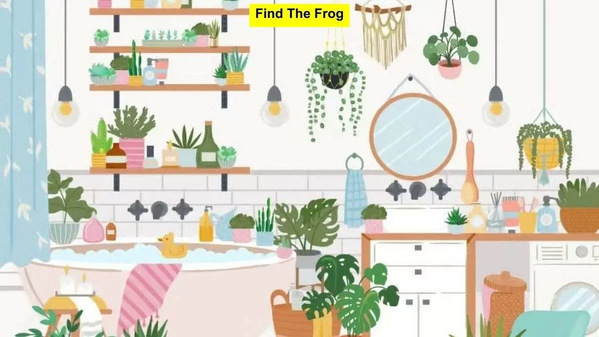 Find The Frog.