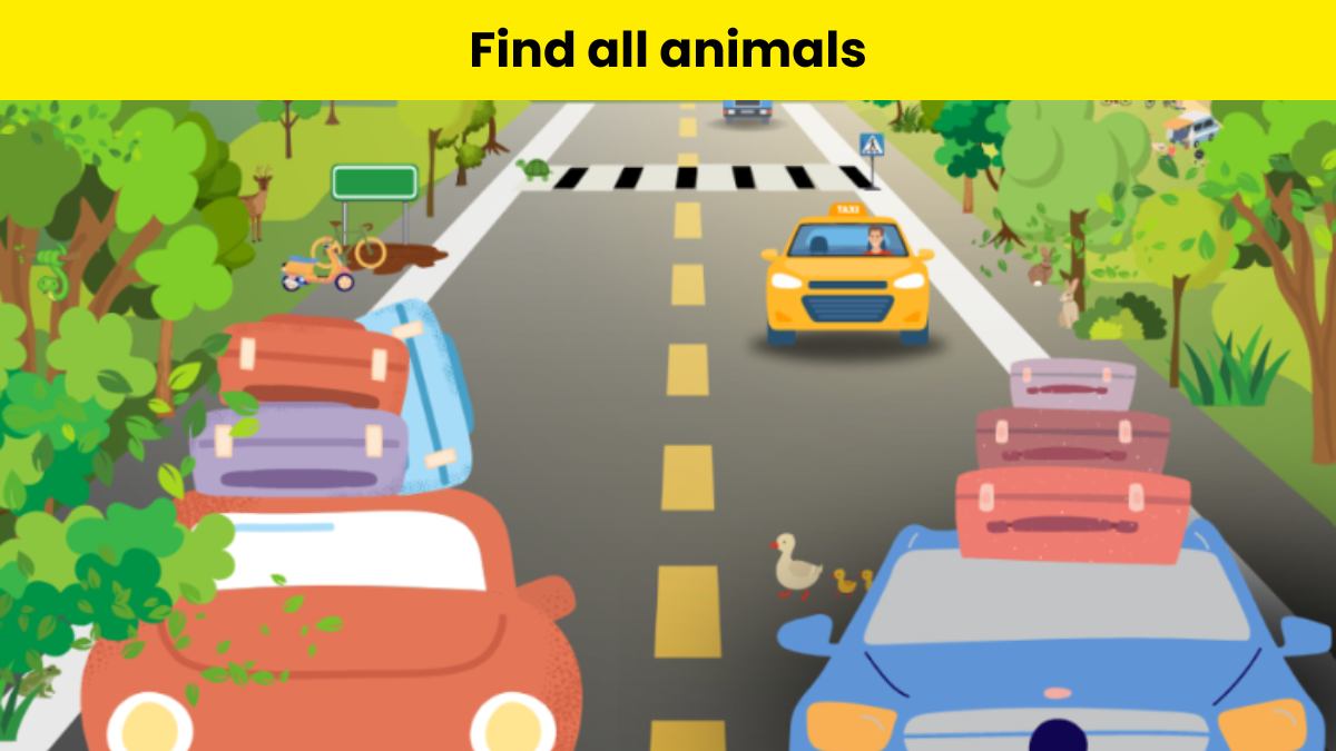 Only an observer can spot 6 animals hidden on the road in 9 seconds.
