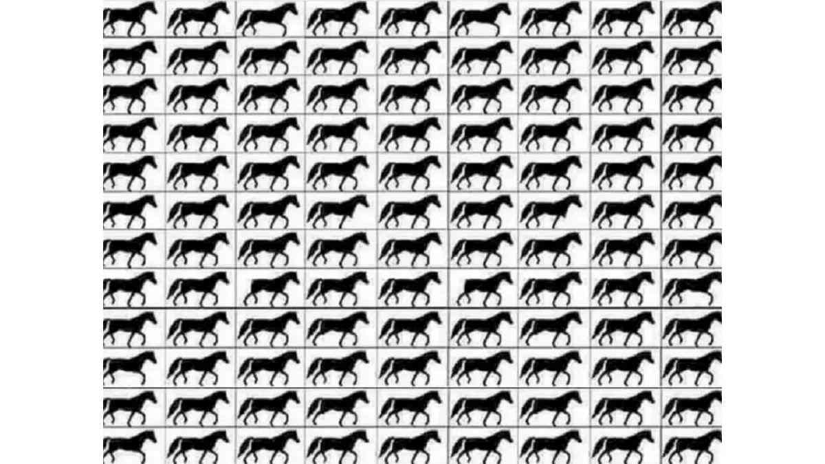 Optical Illusion To Test IQ: Spot The Horses With Three Legs Within 15 Seconds!