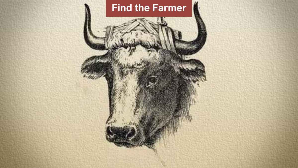 You have eagle eyes if you can spot the hidden farmer in the picture in 8 seconds! 