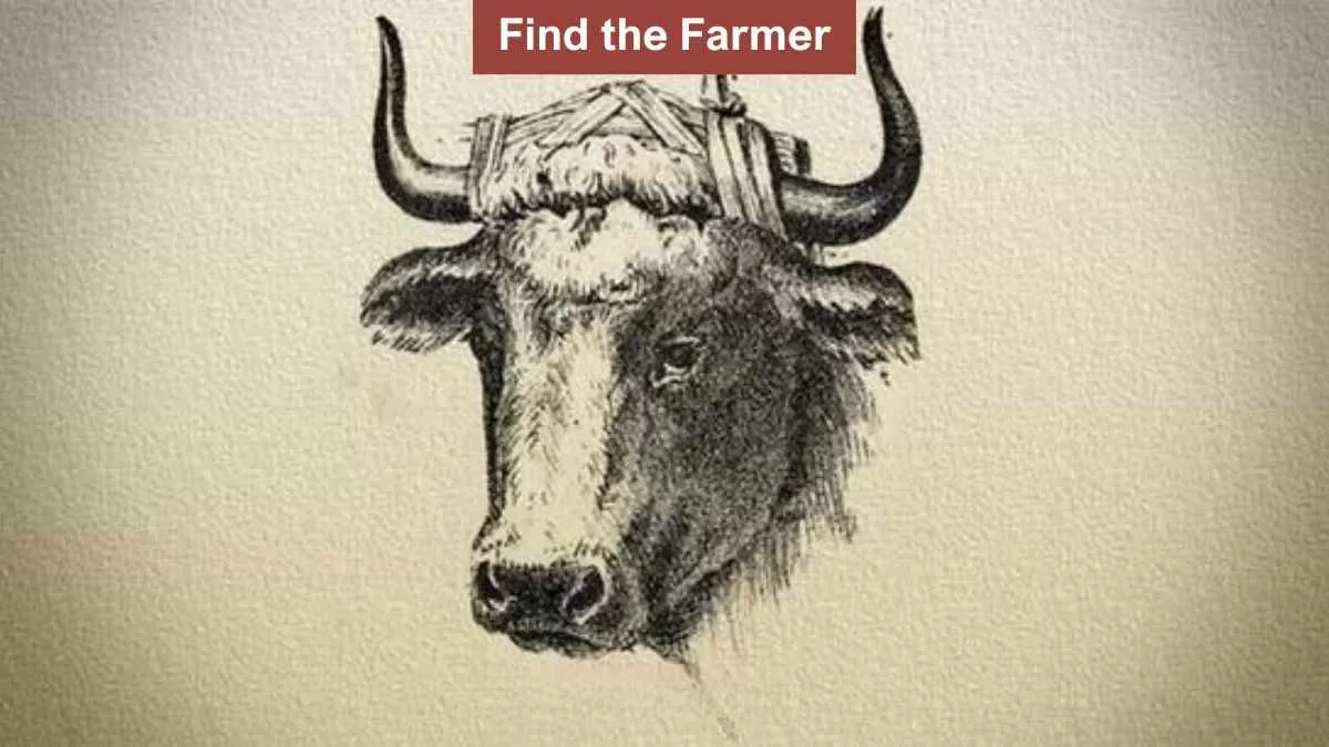 Find Hidden Farmer in 8 Seconds