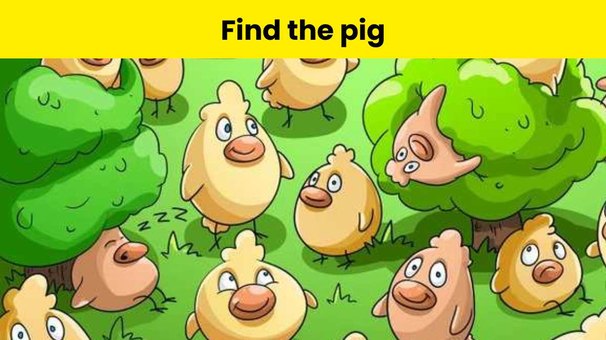 Only 2% attentive people can find the pig among chicks in 7 seconds.