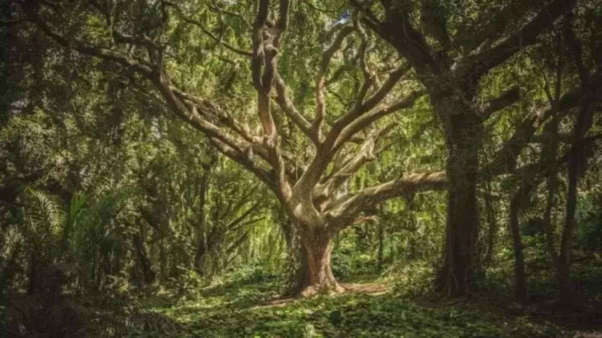 Can You Spot The Bird Hidden In This Jungle Picture Within 8 Seconds?