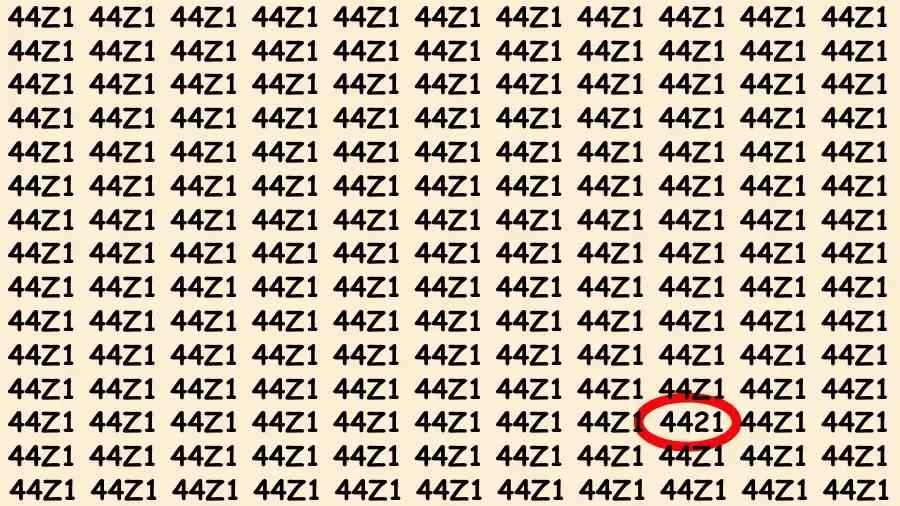 hidden optical illusions with answers