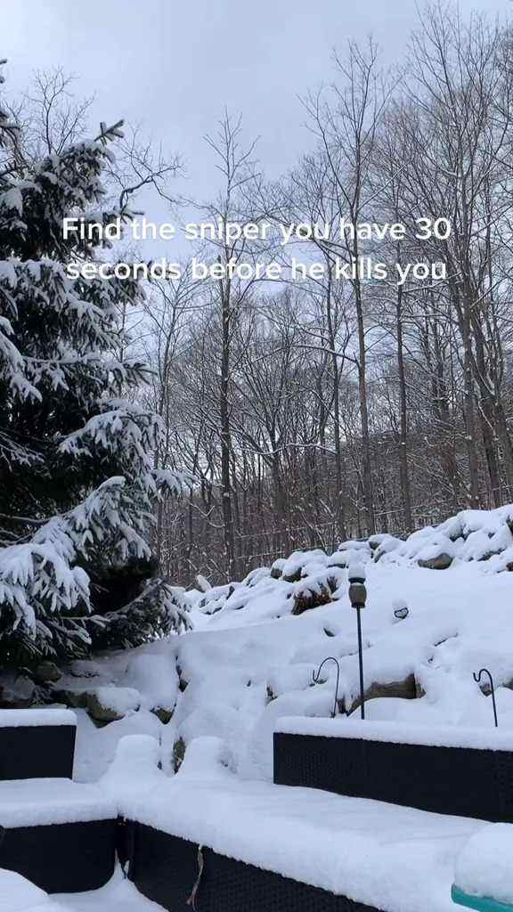 Can you spot the sniper hidden in the snow in this optical illusion ...