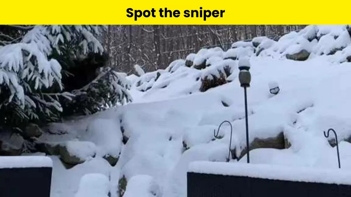 Can you spot the sniper?