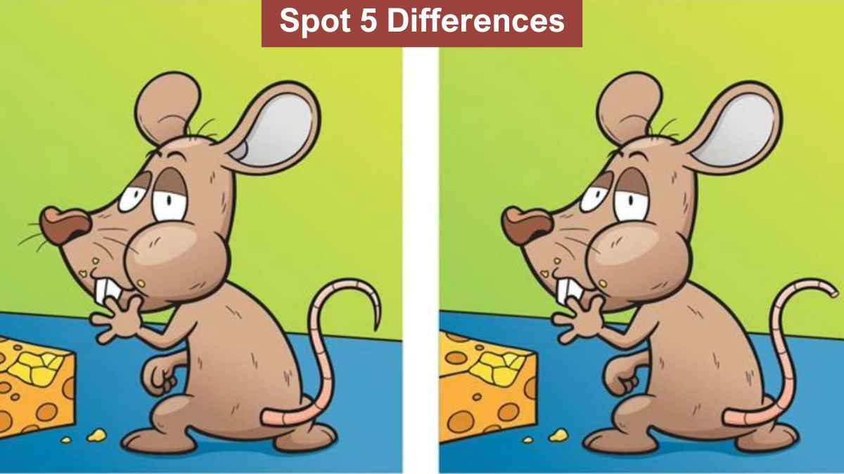 Spot 5 differences between the mouse eating cheese pictures in 14 seconds!