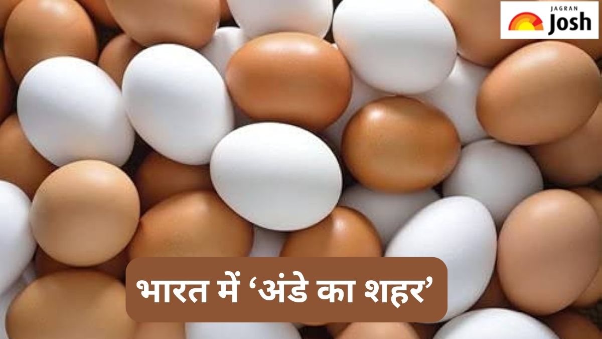भारत के किस शहर को कहा जाता है Egg City, जानें 