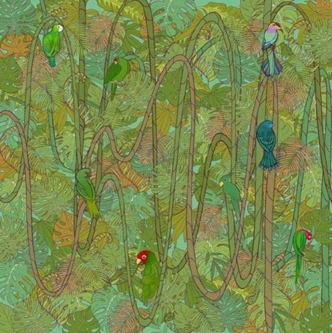 find hidden animals optical illusions