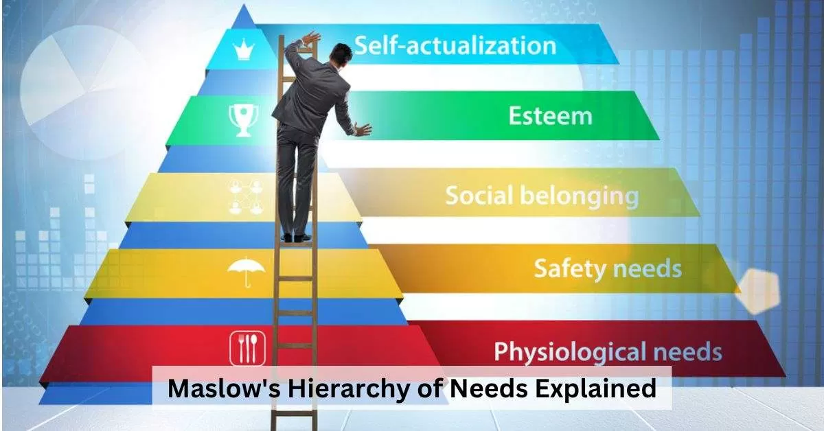 What Is Maslow’s Hierarchy of Needs? 