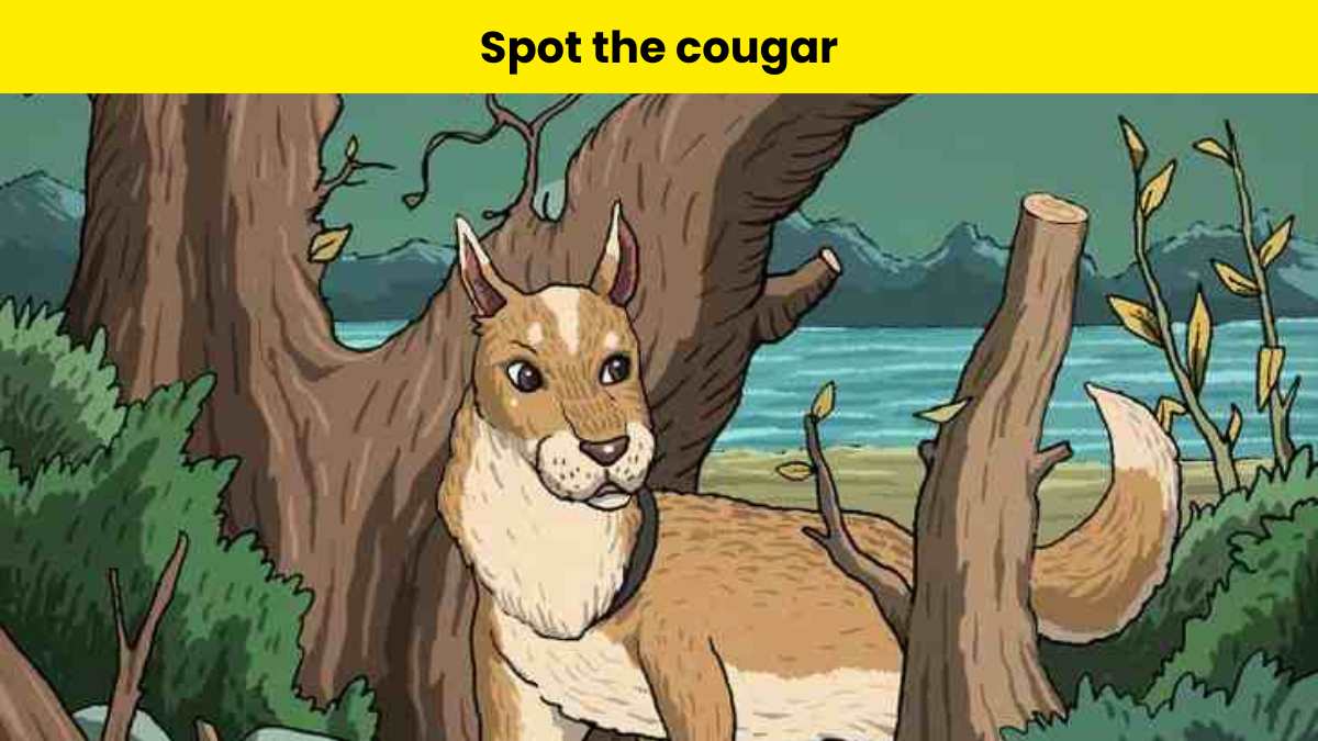 Spot The Cougar In The Dog Picture Within 6 Seconds spot-the-cougar-in-the-dog-picture-within-6-seconds