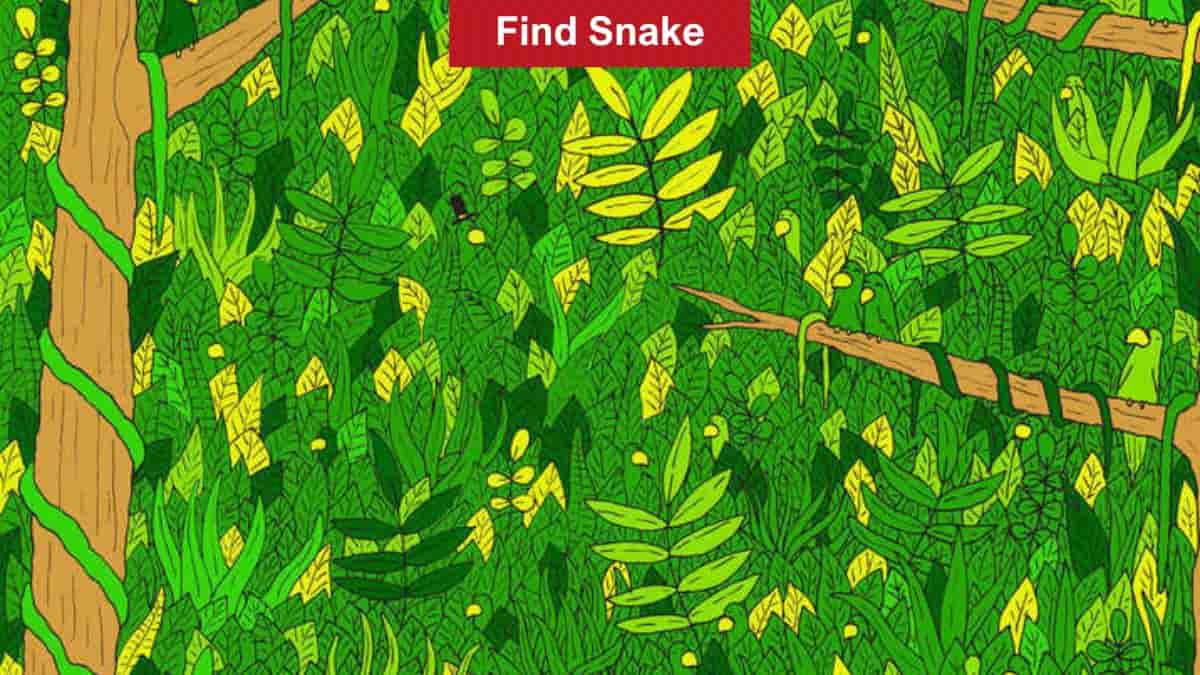 You have eagle eyes if you can spot the hidden snake in the tree in 9 seconds!