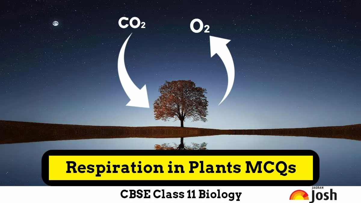 CBSE Respiration in Plants Class 11 MCQs
