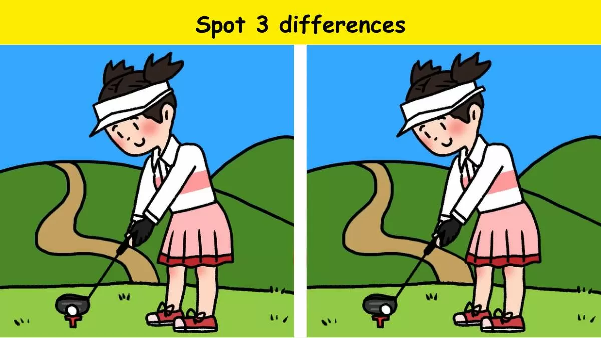 Spot 3 differences