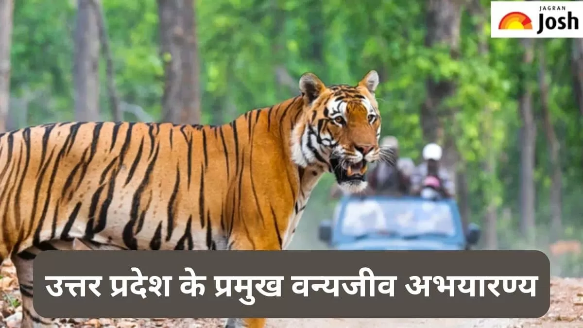 यूपी के वन्यजीव अभयारण्य